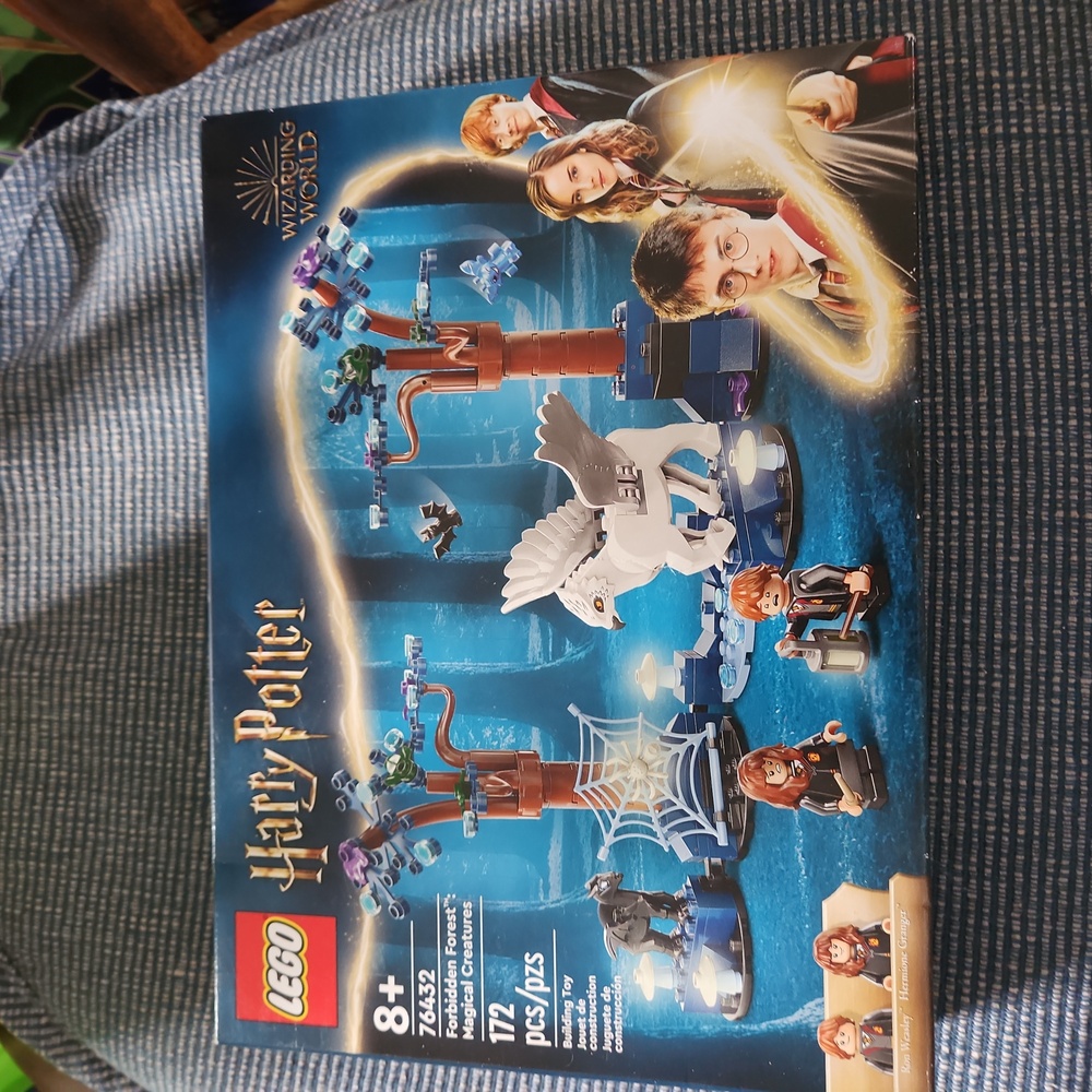 Lego Blue and Brown Building Set with Magical Elements